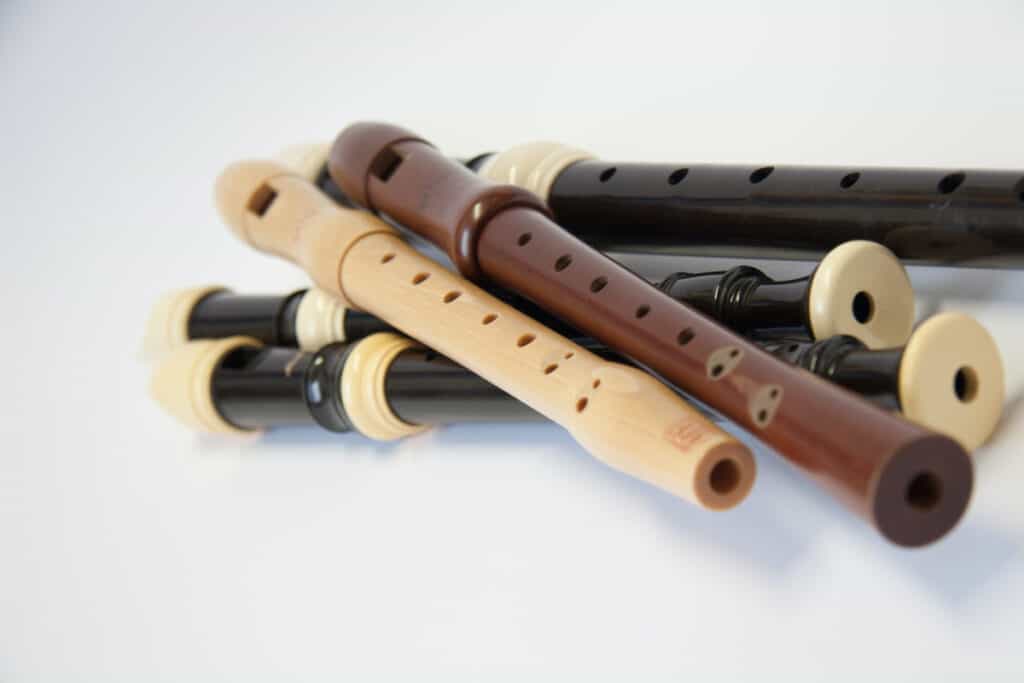 Musikschule Beinwil am See | Ensembles