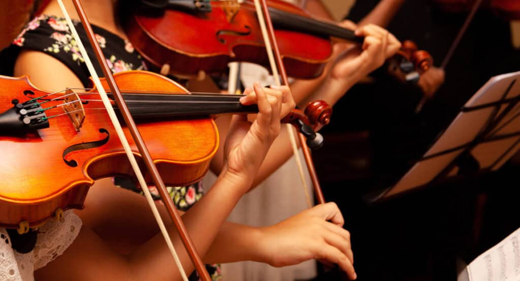 Musikschule Beinwil am See | Instrumente